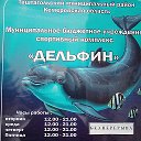 Дельфин 🐬 Спортивный Комплекс