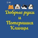 Добрые Руки и Потеряшка Клинцы