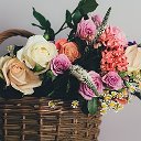 Крымские Розы для Вашего сада