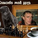 КОНСТАНТИН МАЙЗИНГЕР