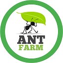 AntFarmDv 🐜 Муравьиная ферма 🐜