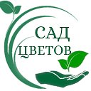 Сад цветов - рассада цветов Барнаул