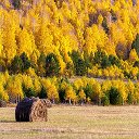 Владимир Осипов