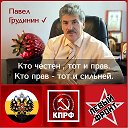 тим нилович тим-бронзит