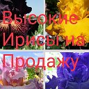Цветы от Галины Ивановны