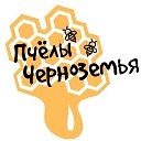 Пчелы Черноземья