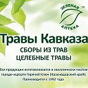 Травы Кавказа в Электростали