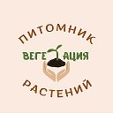 ВЕГЕТАЦИЯ - Питомник Растений