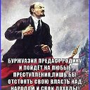 Владимир Метель