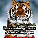 Тигр Йулбарс
