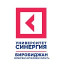 Университет Синергия Биробиджан