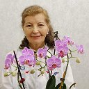 венера Султанова -Закеева