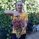 VINOGRADLIFE RU (Рясков Александр)