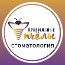 Правильные Пчелы Стоматология