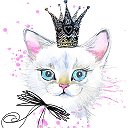 📢 Царство кошек Выставки Кошек 📽🎥📷
