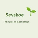 Sevskoe Тепличное хозяйство