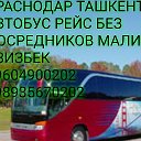 КРАСНОДАР ТАШКЕН АВТОБУС РЕЙС