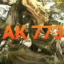АК 773 АК 773