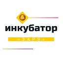 Инкубатор Заря