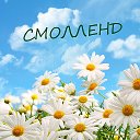 СМОЛЛЕНД МОДЕРАТОР