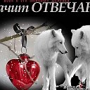 Тимур Таджибаев