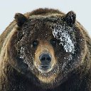 Медведь 🐻 Калач