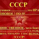 СибирьVSu Vol4iцa 22 СССР (ТАОН)))