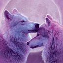 Волк Love