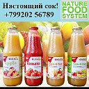 Organics Food - еда для здоровья