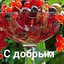 Нэля Соустина