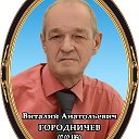 Виталий Городничев