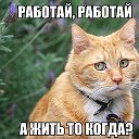 ✵✵Константин ✵✵