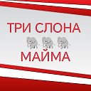 🐘ТРИ СЛОНА🐘 МАЙМА🐘