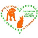 Волонтеры Астрахани