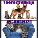 ЗооГостиница ЗооНяня  89500521128