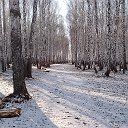 Николай и Галина Корнеевы ( Шаталова)