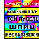 ПИТОМНИК MY FAVORITE BABY