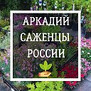 Аркадий Саженцы России