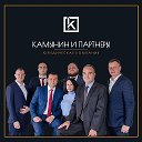 КОМПАНИЯ КАМЫНИН и ПАРТНЕРЫ