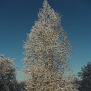 Таля Галеева (Горбенко)