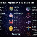 Вл-р депутатБОМЖ Кауров 7(9179)366-766