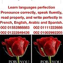 Learn languages Learn languages