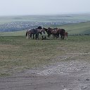 Сергей Шашков