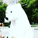 Белый медведь Дик