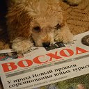Админ Восхода Воробьевская газета