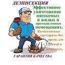 Дезинфектор Белокуриха