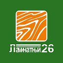 Михаил Ламинатный26