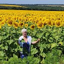 Татьяна Шаповалова (Самойленко)