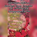 ЦВЕТЫ Пост Гаи Шахтёрск