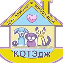 Спасаем животных КОТЭдж